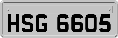 HSG6605