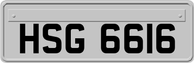 HSG6616