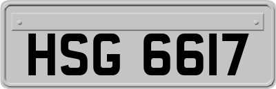 HSG6617