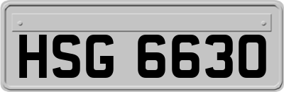 HSG6630