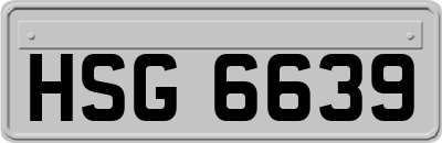 HSG6639