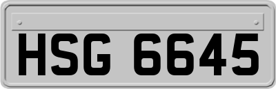 HSG6645