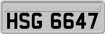 HSG6647