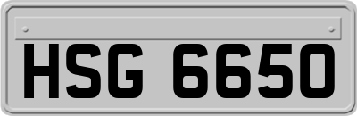 HSG6650