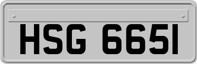 HSG6651