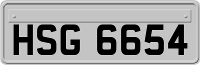 HSG6654