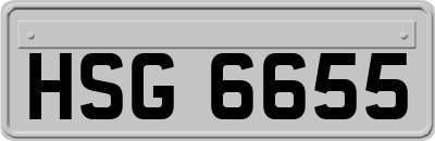 HSG6655