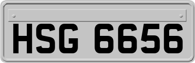 HSG6656