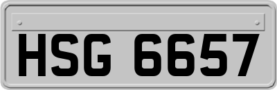 HSG6657