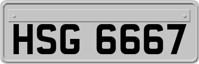 HSG6667