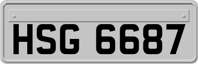 HSG6687