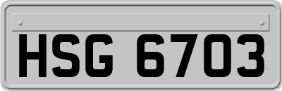 HSG6703