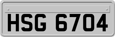 HSG6704