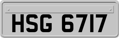 HSG6717