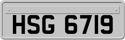 HSG6719