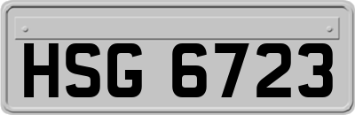 HSG6723