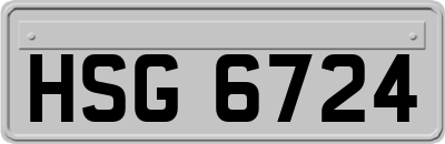 HSG6724