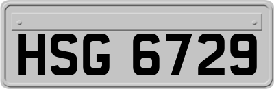 HSG6729