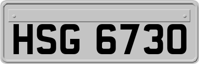 HSG6730