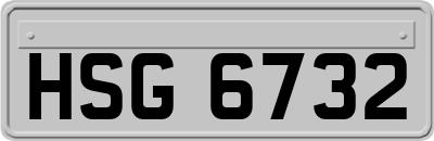 HSG6732