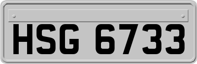 HSG6733
