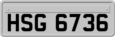 HSG6736