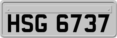 HSG6737