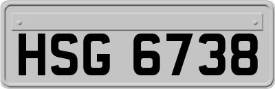 HSG6738
