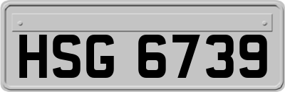 HSG6739
