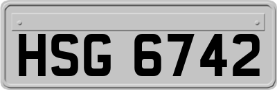 HSG6742