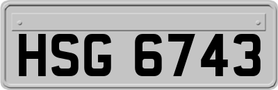 HSG6743