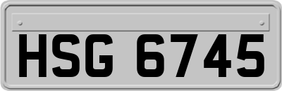HSG6745