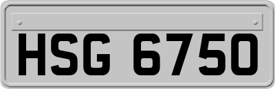HSG6750