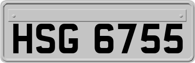 HSG6755