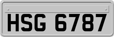 HSG6787