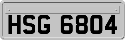 HSG6804