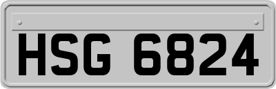 HSG6824
