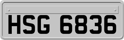 HSG6836