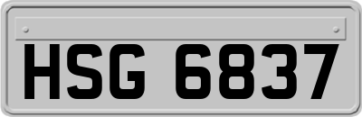 HSG6837