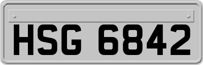 HSG6842