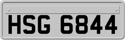 HSG6844