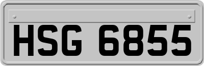 HSG6855