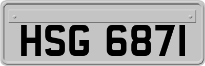 HSG6871