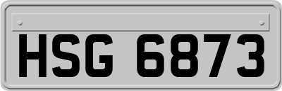 HSG6873