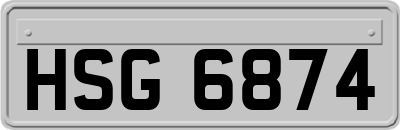 HSG6874