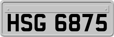HSG6875