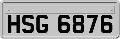 HSG6876