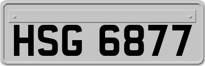 HSG6877