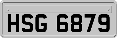 HSG6879