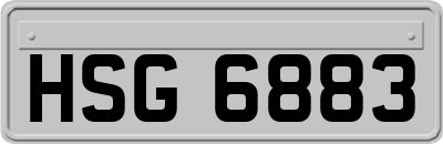 HSG6883